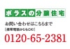 フリッド柏豊四季