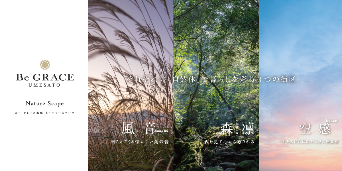 ※掲載の写真はイメージです。
