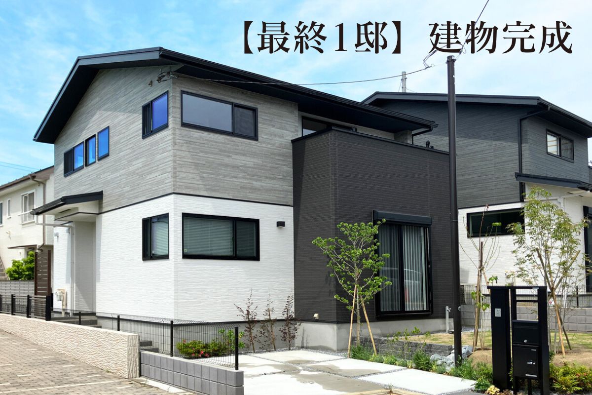 ※2025年5月撮影
