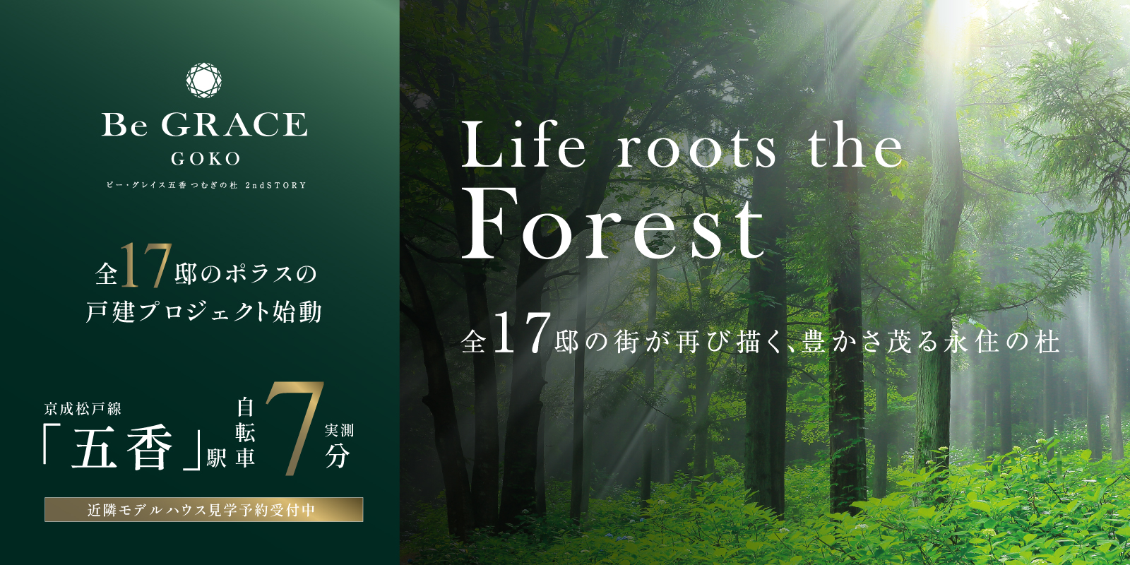 ※掲載の写真はイメージです。