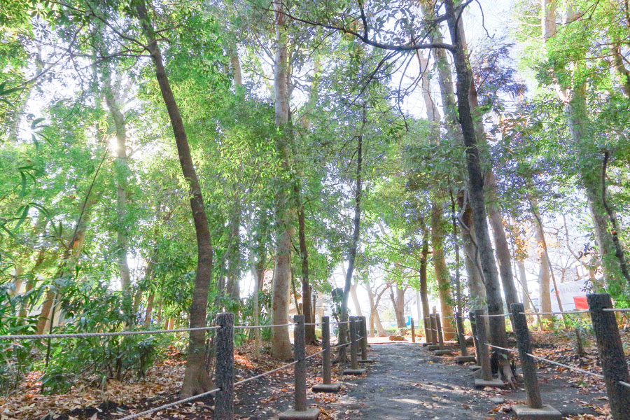 谷津の森公園