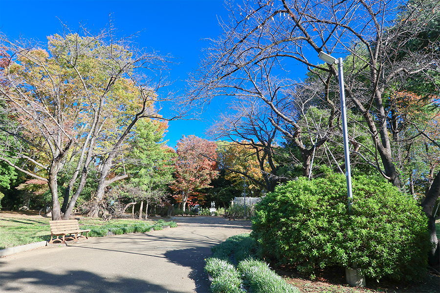 須和田公園