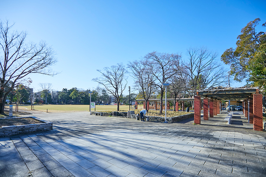 南流山中央公園 南流山中央公園