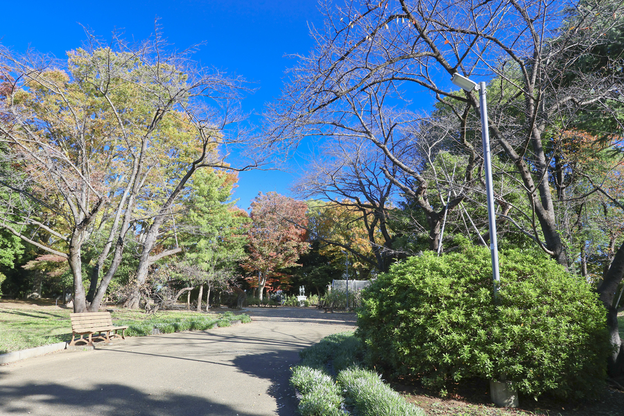 須和田公園 須和田公園