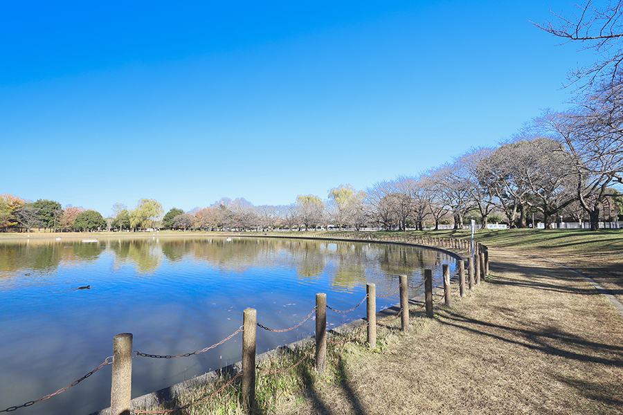県民健康福祉村