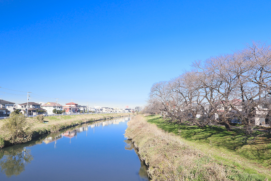 元荒川緑道