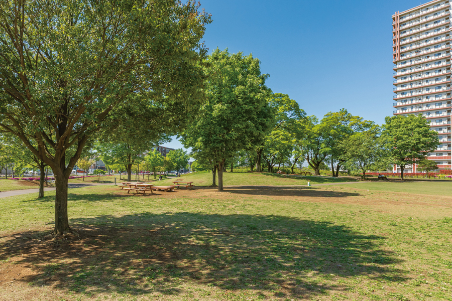 西初石近隣公園(おおたかの森駅南口公園)