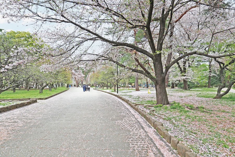 大宮公園