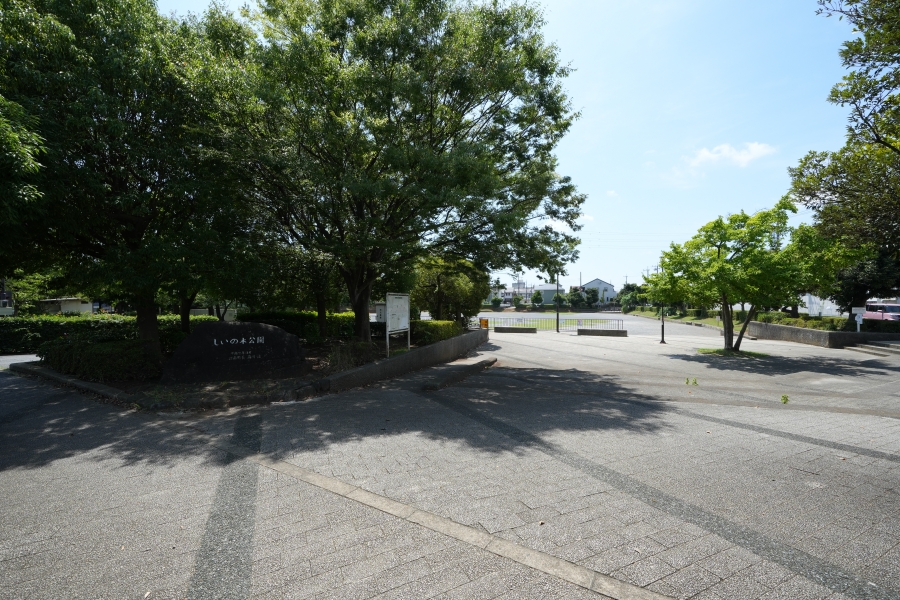 しいの木公園 しいの木公園