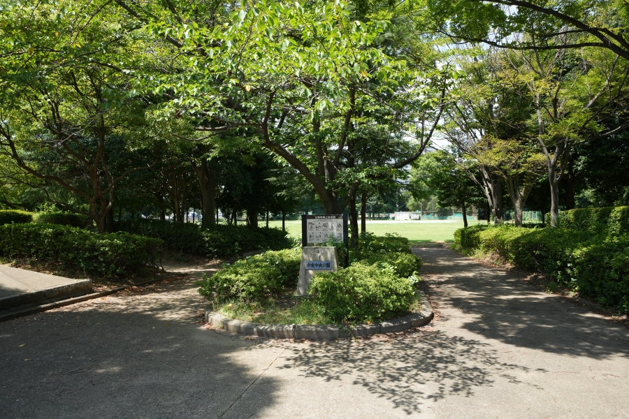 六実中央公園 六実中央公園