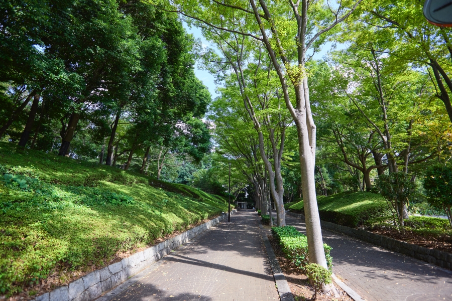 南部公園 南部公園