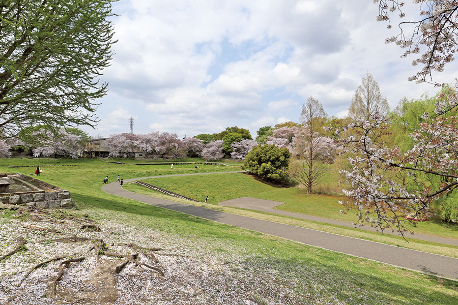 大宮第二公園