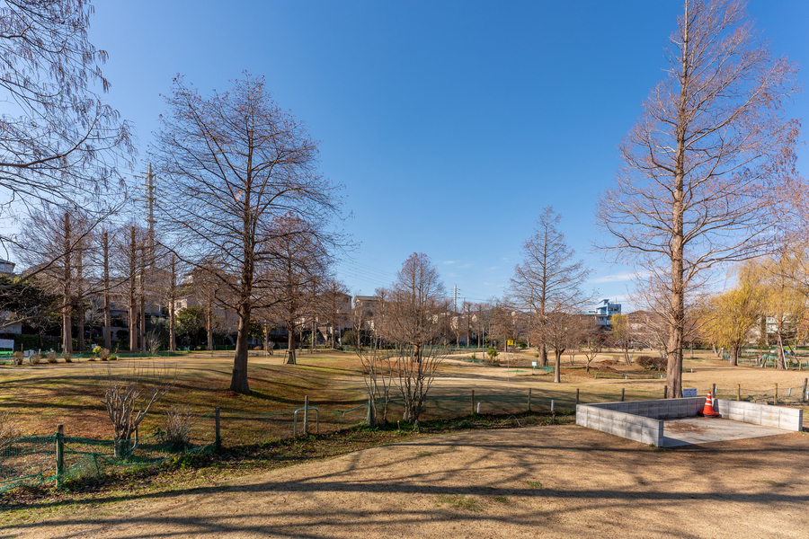 中央公園(プラッツ習志野)