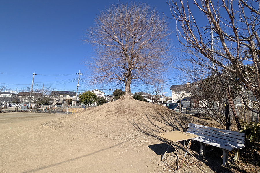西公園 西公園
