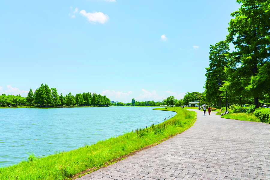 水元公園 水元公園