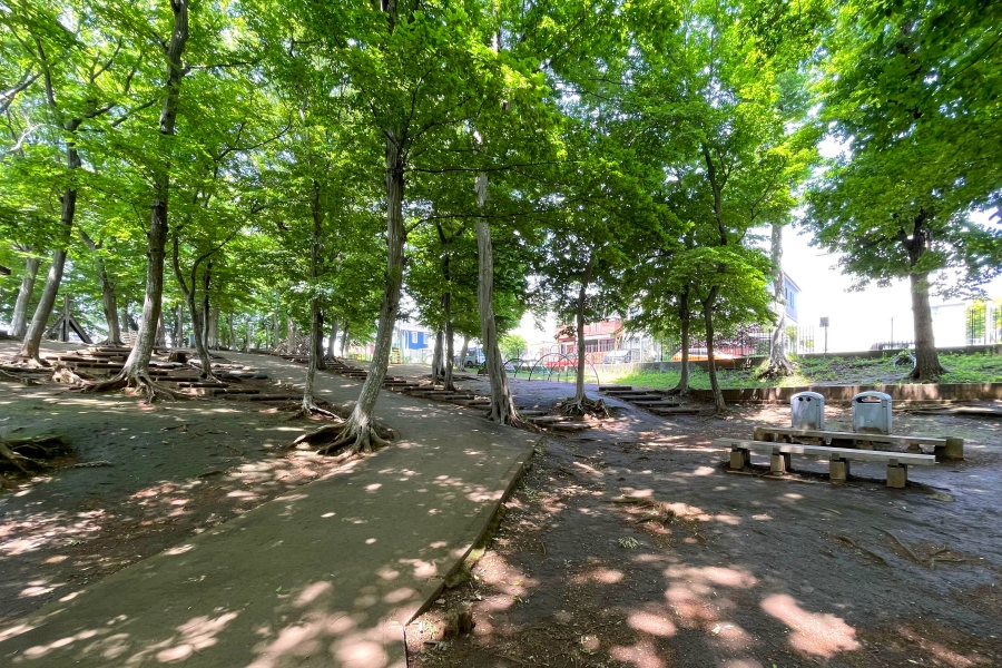 小塚山フィールドアスレチック公園