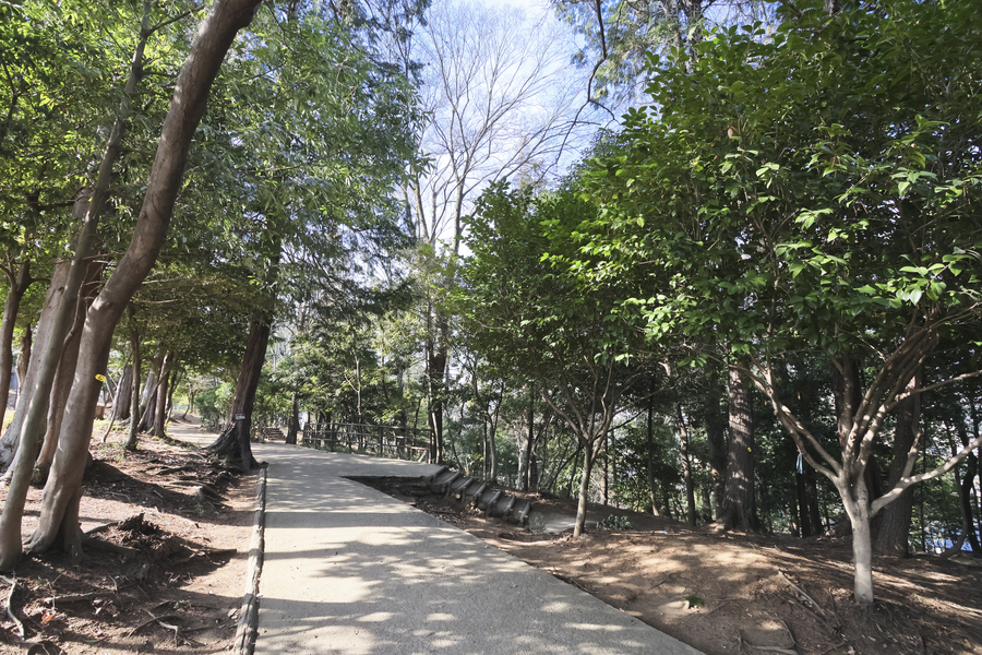 滝の根公園 滝の根公園