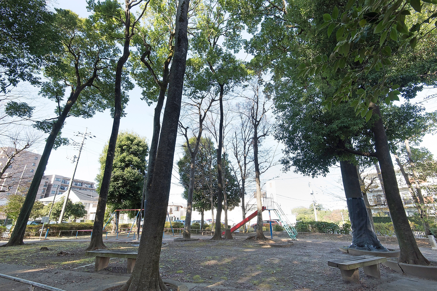 東中新宿第一公園