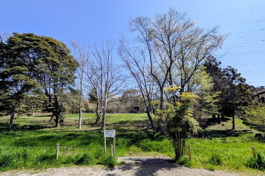 駒木ふるさとの森