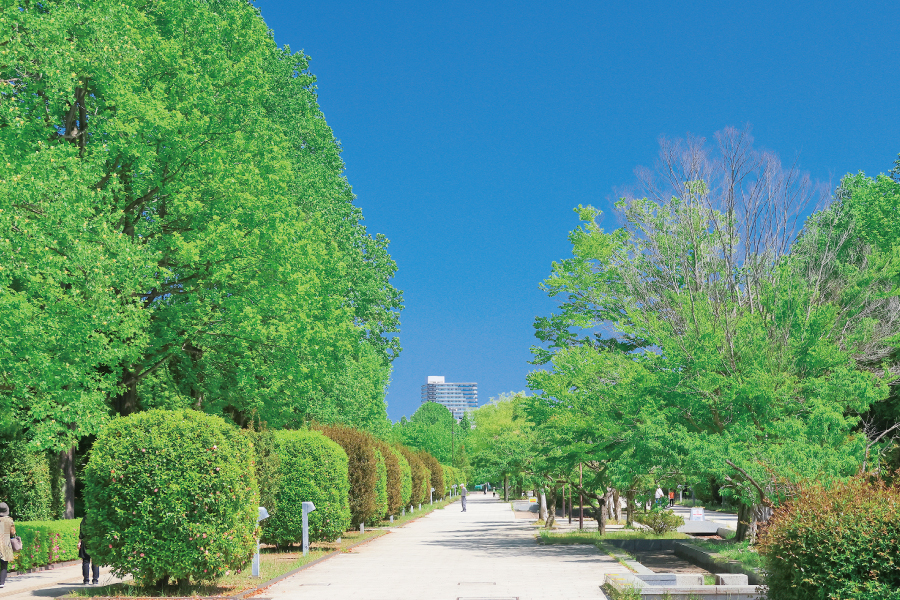 県立柏の葉公園