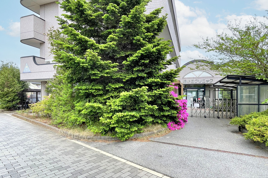 緑が丘クリニック(内科・心療内科・循環器科) 緑が丘クリニック(内科・心療内科・循環器科)