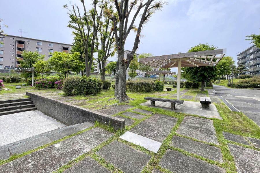 高津公園 高津公園
