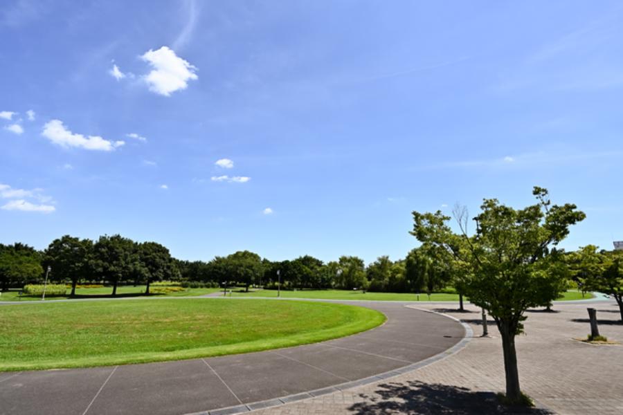 大宮第三公園 大宮第三公園