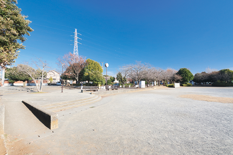 しいの木公園 しいの木公園