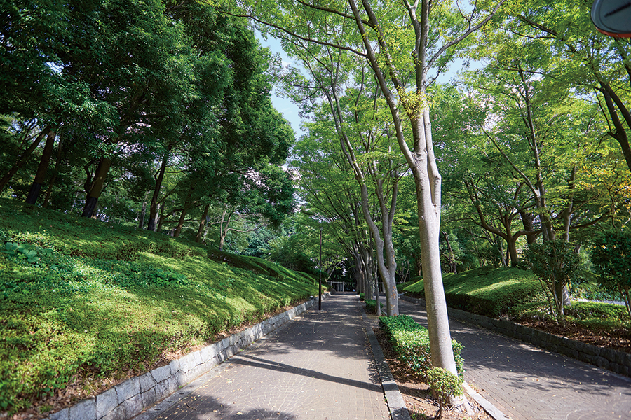 南部公園 南部公園