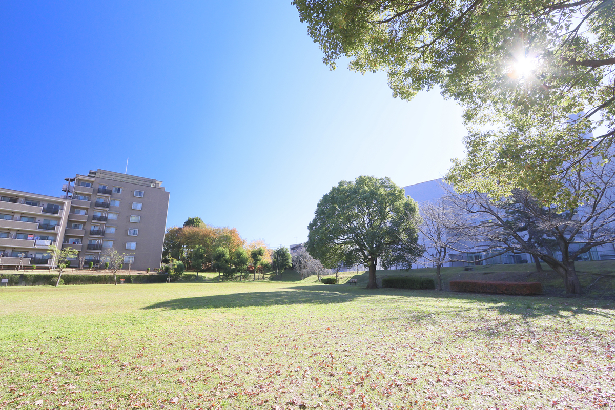 加1号公園 加1号公園