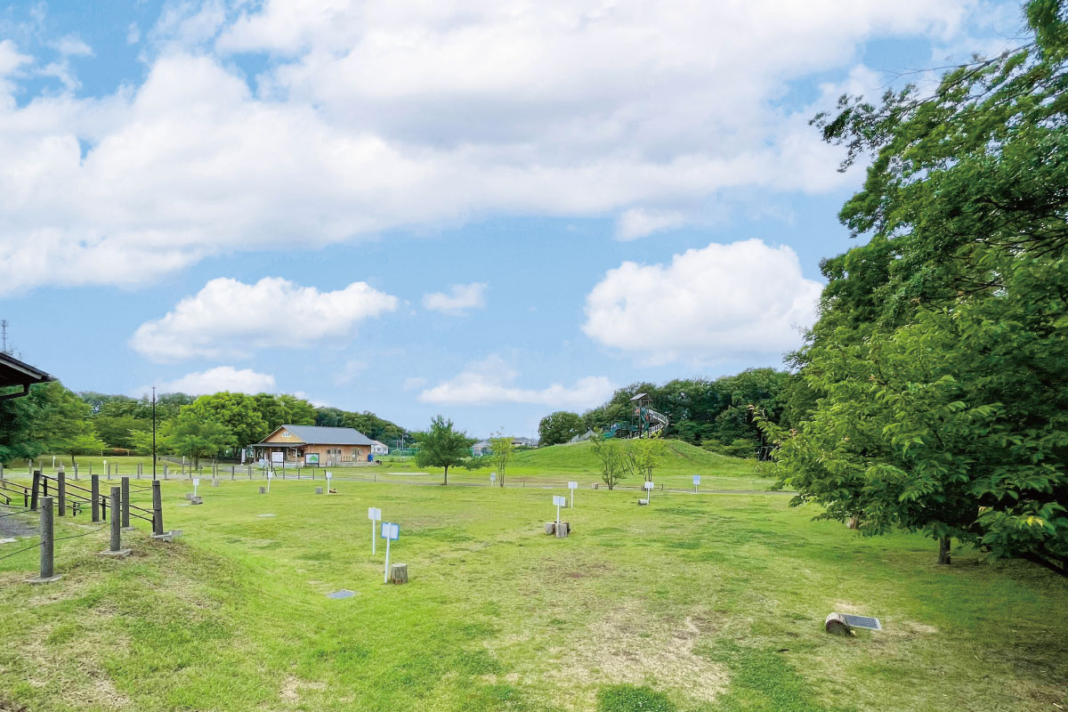 所沢カルチャーパーク 所沢カルチャーパーク