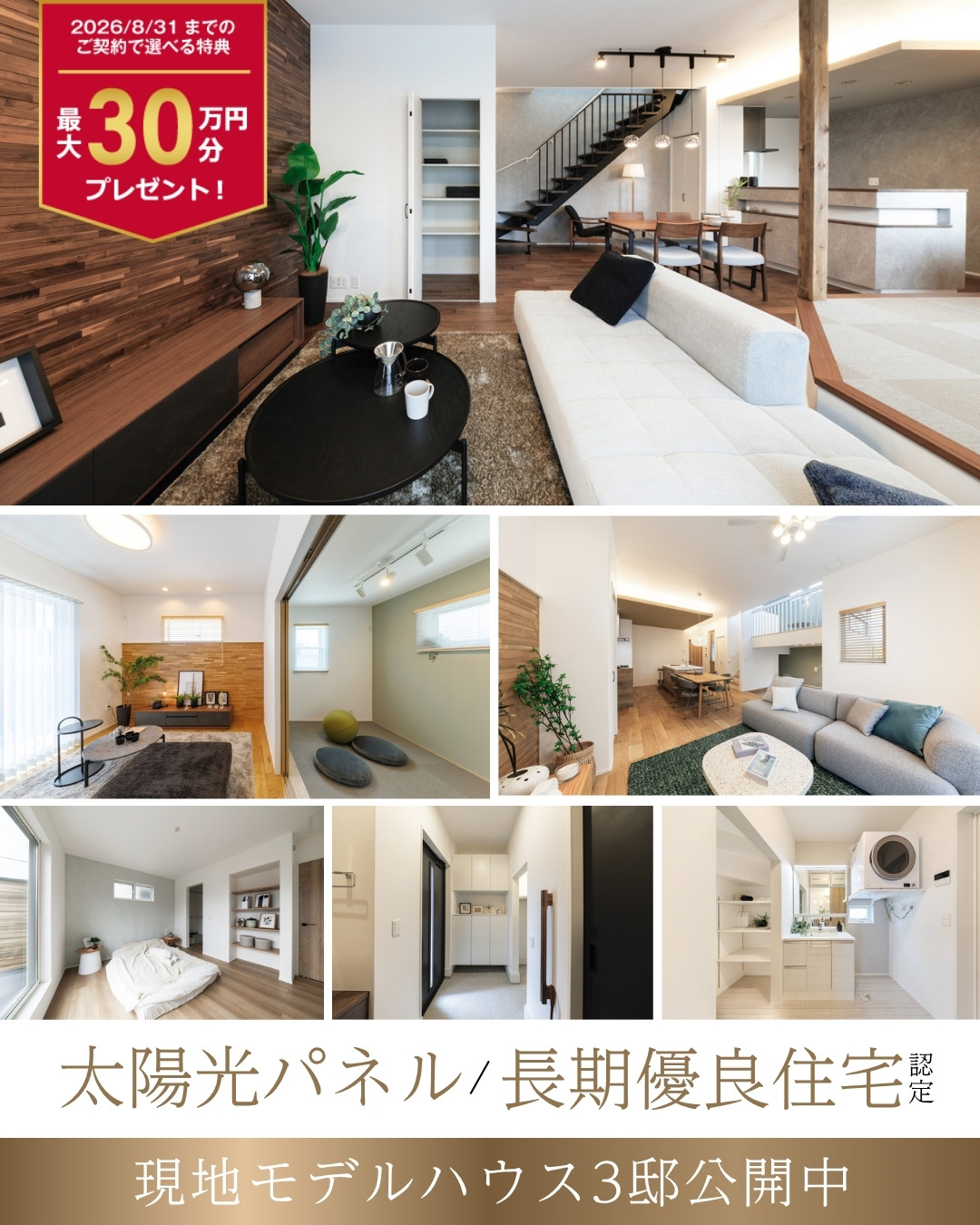 ※2026年6月撮影
