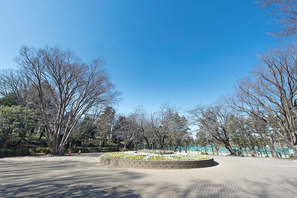 北習志野近隣公園 北習志野近隣公園