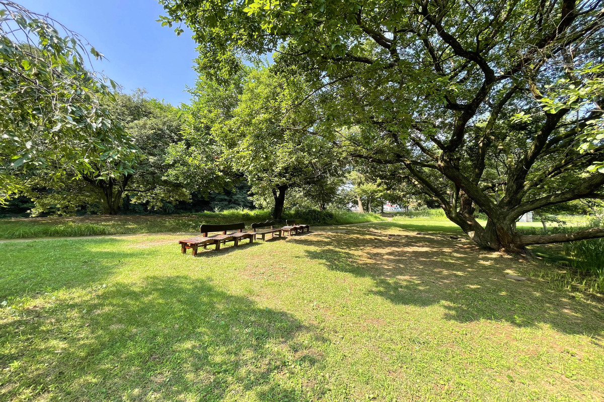 清瀬金山緑地公園 清瀬金山緑地公園