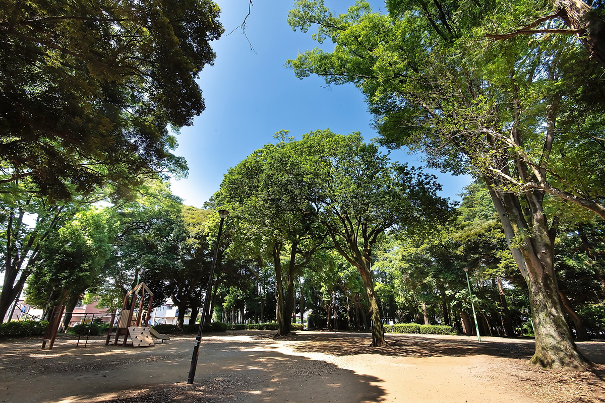 日立台公園 日立台公園