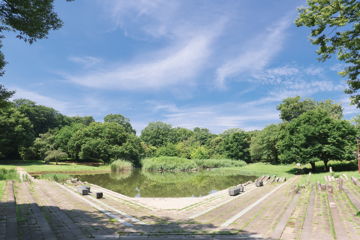 清瀬金山緑地公園 清瀬金山緑地公園
