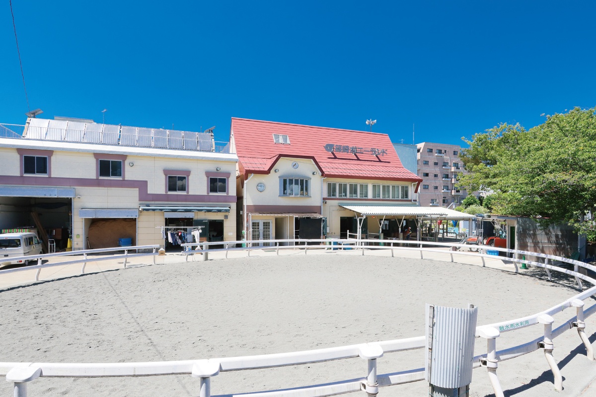 篠崎ポニーランド 篠崎ポニーランド