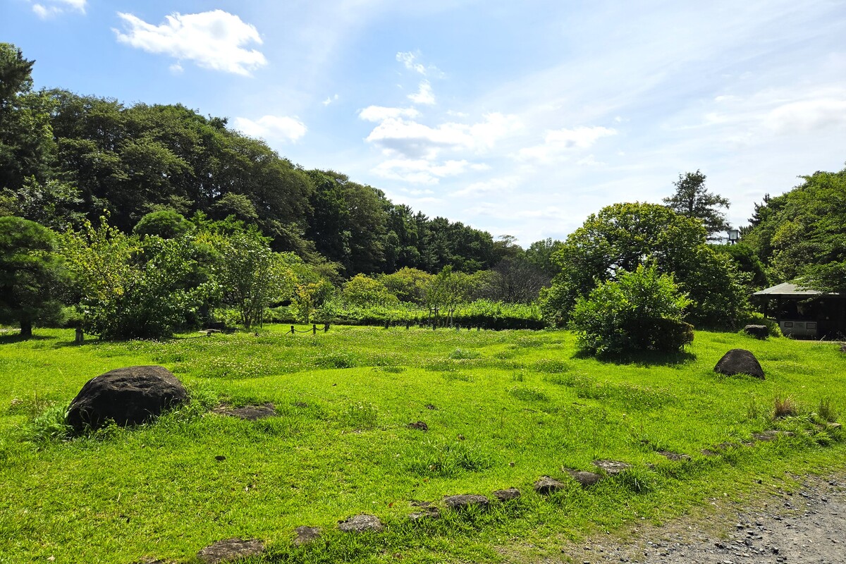 越谷梅林公園 越谷梅林公園