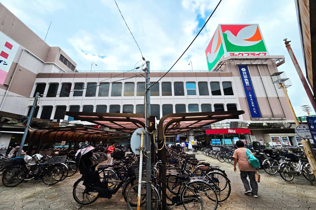 ヨークプライス五香店/ココカラファインヨークプライス五香店 ヨークプライス五香店/ココカラファインヨークプライス五香店