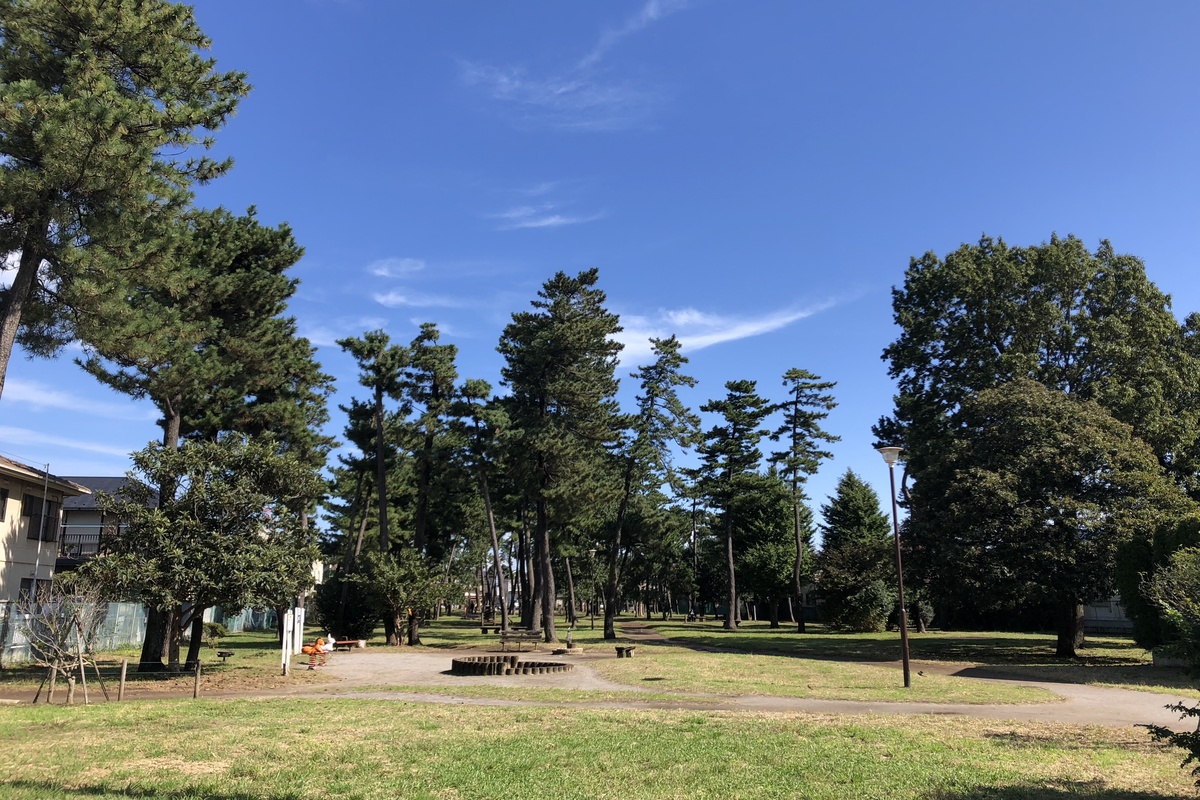 咲が丘緑地公園 咲が丘緑地公園