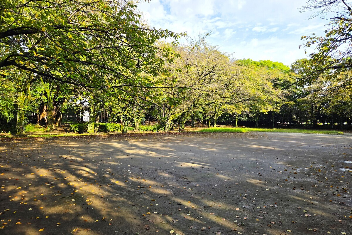 八幡公園 八幡公園