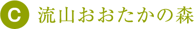 流山おおたかの森
